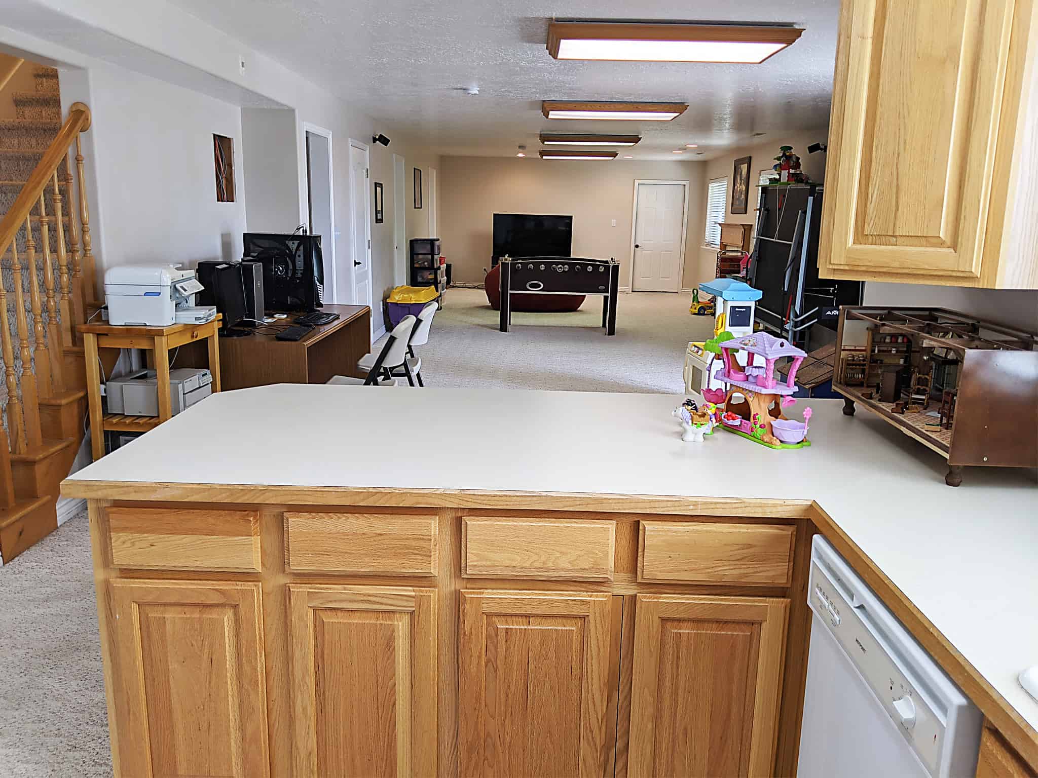 Basement Family Room