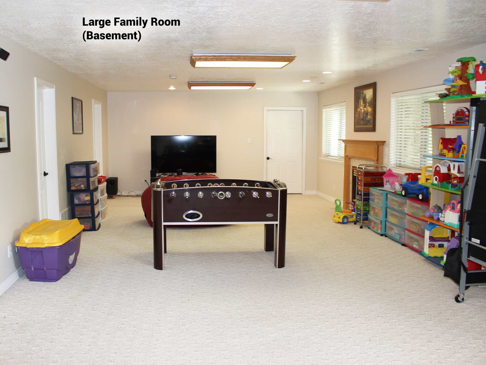 Basement Family Room