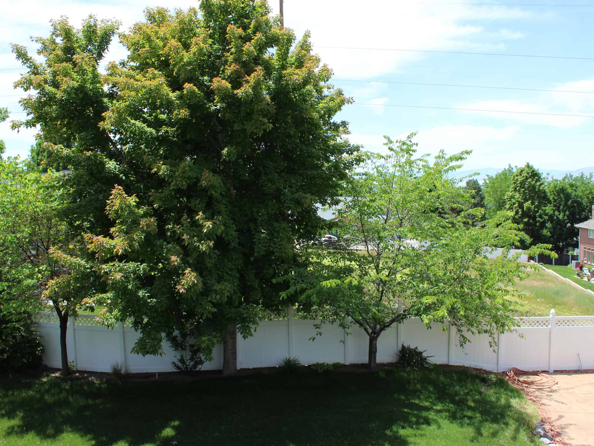 View from back deck